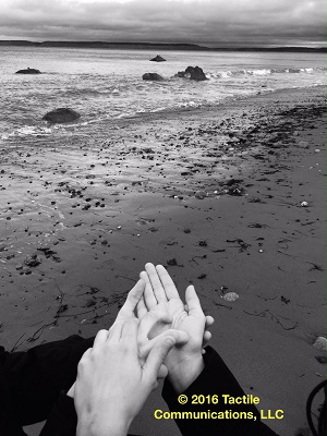Image description: black and white image of the water at the beach with five boulders emerging from the water. Towards the bottom of this b&w image, are a pair of hands using ProTactile (PT). The one pair of hands is displaying the positions of the rocks in the water on the other person's hand. *Image © 2016 Tactile Communications, LLC